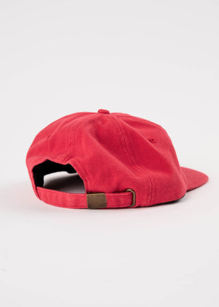 Barney 6 Panel